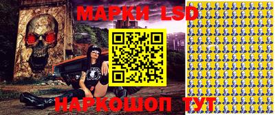 стафф Донецк