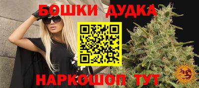 мяу мяу мука Дубна