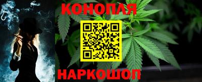 стафф Донецк
