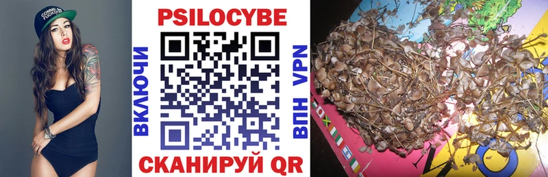 купить наркоту  Тихорецк  ОМГ ОМГ tor  Галлюциногенные грибы Cubensis 