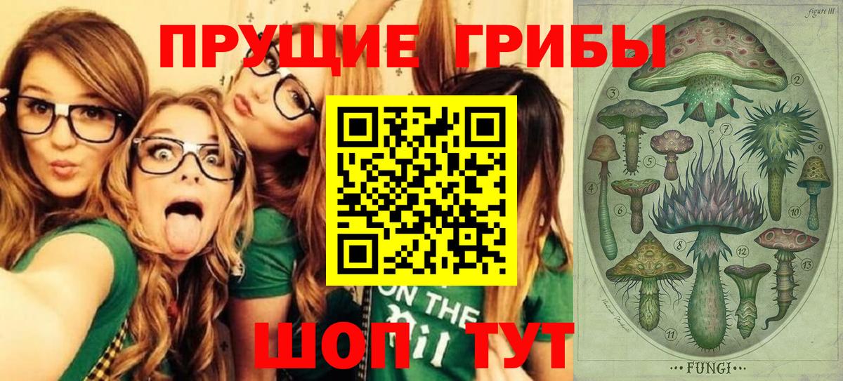 Галлюциногенные грибы Psilocybe  Вход с VPN  Тихорецк 